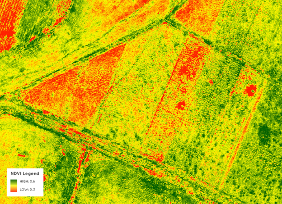 Mapa NDVI generado por dron agrícola